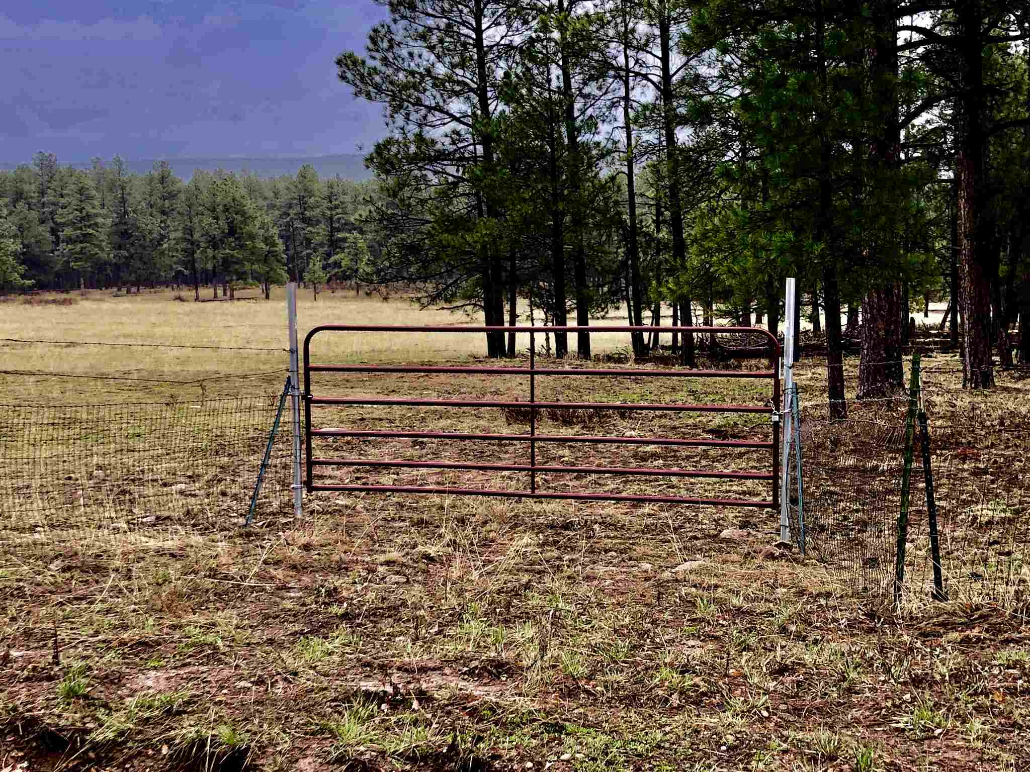 Marion Skubi Las Campanas Santa Fe